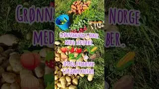 Огород в Норвегии