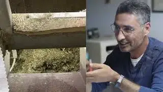 Saanen keçisi profesyonel yetiştiricilik çiftliği