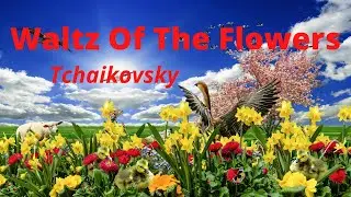 Waltz Of The Flowers | Tchaikovsky