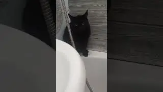 В душ и без меня?🤣 