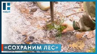 Тамбовская область присоединилась к Всероссийской акции «Сохраним лес»