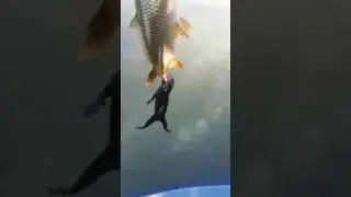 Удачный улов!!! Добыча БОЛЬШЕ ОХОТНИКА!!!