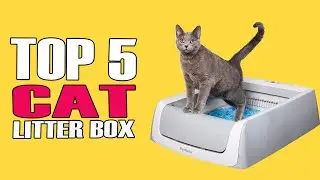 Top 5 Best Litter Box for Multiple Cats in 2023 | Automatic, Manual