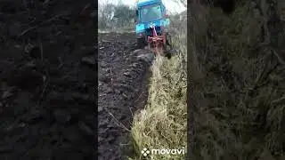 Лівосторонній номер 1
