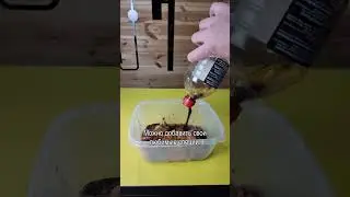 Куриные джерки к пиву в аэрогриле 