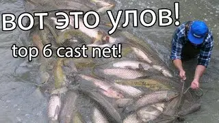 Рыбалка Кастинговой Сетью! Лучшие забросы! ВОТ ЭТО УЛОВ! CAST NET TOP 6!
