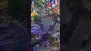 An iconic landmark in Japan. This is Tokyos Shibuya Crossing, the worlds busiest pedestrian crossing