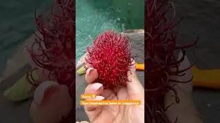 Личи как отличить настоящий от рамбутана или драконьего глаза
