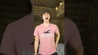 If villagers can give side quests in Minecraft