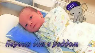Новорожденный малыш в роддоме, совместное пребывание с мамой
