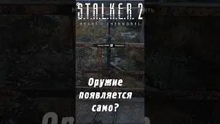 Игра сама спаунит оружие? | S.T.A.L.K.E.R. 2