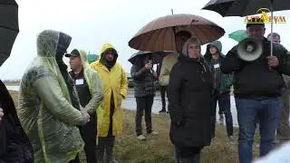 Подсолнечник и озимая пшеница в Шигонском районе Самарской области. Семинар по NO-till
