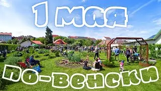 Австрия. ВЕНА. 1 МАЯ. Мир Труд Май по-венски. Как провести время с детьми с пользой