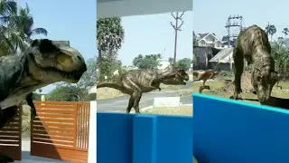 green screen dinosaur/ dinosaur/ vfx/Jurassic world/Trex dinosaurs/graphics/free use/ kovai