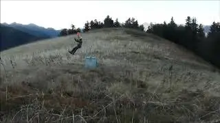 Béarn : lâcher de l'ourse Claverina entre Cette-Eygun et Etsaut le 3 octobre 2018