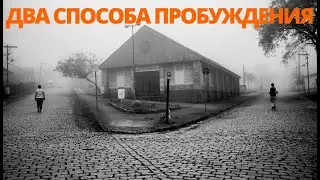 №126. ДВА СПОСОБА ПРОБУЖДЕНИЯ. Роберт Адамс. Самоисследование на Сатсанге