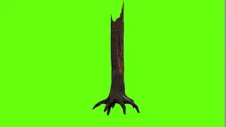 Green Screen Dry Wood 11 Video Animation