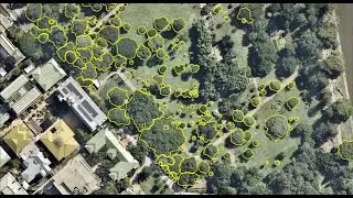 Creating Polygons in ArcGIS Pro