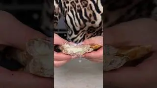 С них прям течёт🫢а вы знали, что так можно? 😱 