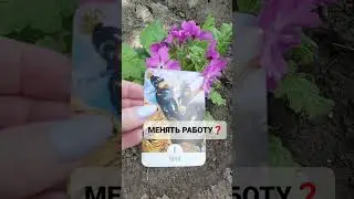 МЕНЯТЬ РАБОТУ❓