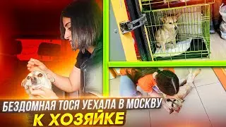 Тосе нашлись добрые ручки. Отправляем ее в Москву.