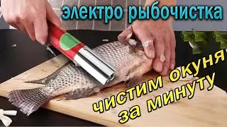 Fish Scraper with AliExpress - Fast fish cleaning, detailed review !!!