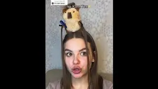 ⚡️ФИНАЛ⚡️ «Я полюбила бандита»