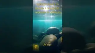 ЧТО ТАКОЕ "СМЕРТЬ"?
