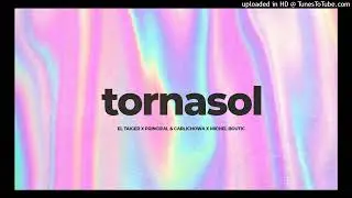 El Taiger x Principal y Carlichowa x Michel Boutic - Tornasol