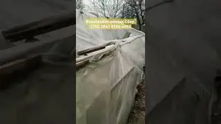 весенний подарок Март приготовил сюрприз Снег сломал теплицу😳🥹😭