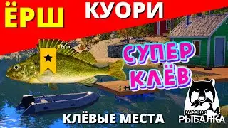 ЁРШ КУОРИ / 4 ТРОФЕЙНЫХ ЕРША Оз. КУОРИ / ФАРМ НА КУОРИ ✅ РУССКАЯ РЫБАЛКА 4 🔴 Russian Fishing 4 🔴 РР4