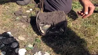 ЖИРНЫЕ МОНЕТНЫЕ МЕСТА! ДА ТУТ ИХ КОПАТЬ И КОПАТЬ!