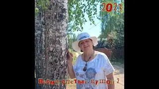 Екатерина Ермачкова