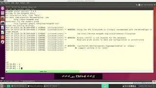 14 - (Extra) Install MongoDB on Ubuntu
