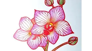 🌿🌺🌿Как нарисовать орхидею маркерами и цветными карандашами. 🌿😊🌿