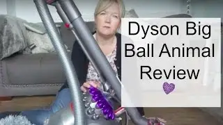 The Dyson Big Ball Animal