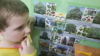 Дуб 13.06.2021