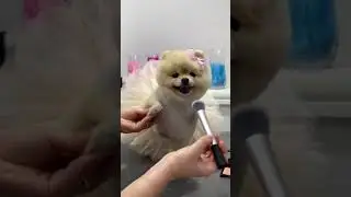 cute ❤️😘