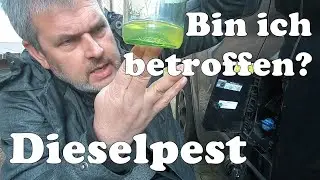 Dieselpest -  bin ich betroffen? Nach der Winterpause dem Wohnmobil auf den Zahn gefühlt!