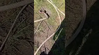 На даче появился свой источник воды, аббесинская скважина