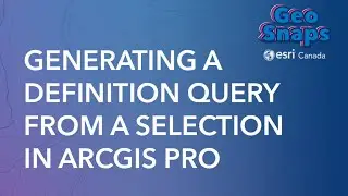 Generating a Definition Query from a Selection in ArcGIS Pro