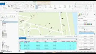 Editing the Attribute Table in ArcGIS Pro