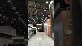 Аэропорт Шереметьево. Термина С. Март 2024 года