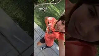#shorts