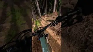 This trail gets my adrenaline pumping!