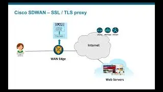 SSL /TLS inspection with Cisco SDWAN