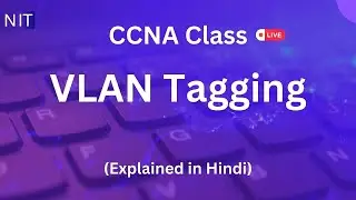 VLAN Tagging | CCNA in Hindi