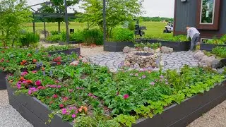 Weekend Gardening, Plant Load from Walter's Gardens & Automatic Watering in Raised Beds