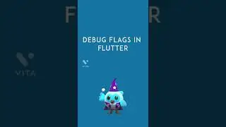 Debug Flags in Flutter