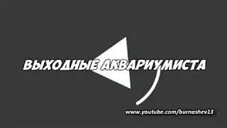 Ремонт фильтра атман рукожоп ч. 1